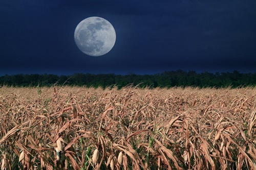 luna piena del raccolto