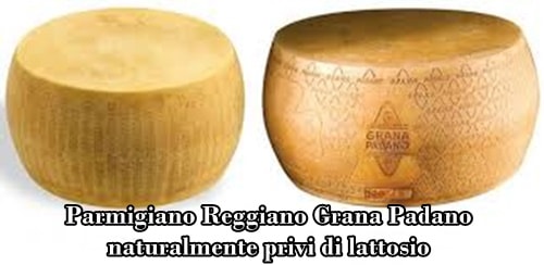 formaggi naturalmente privi di lattosio