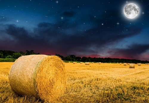full moon of the harvest