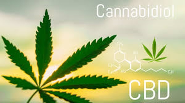 cannabis (CBD)